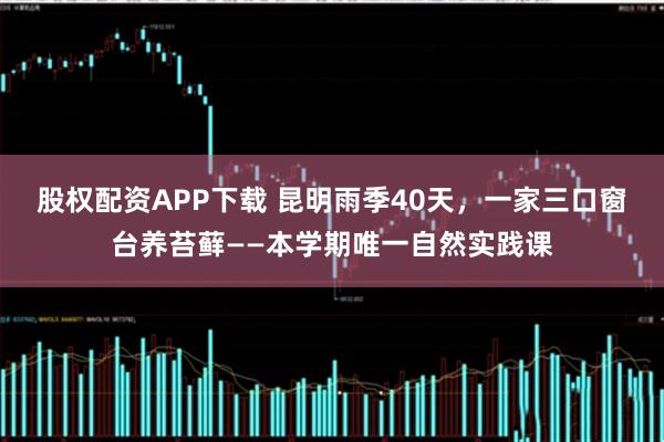 股权配资APP下载 昆明雨季40天，一家三口窗台养苔藓——本学期唯一自然实践课
